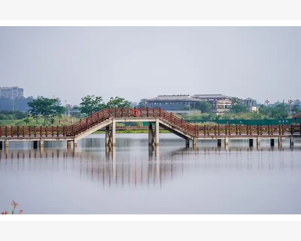 初级会计证备考核心考点与学习路径